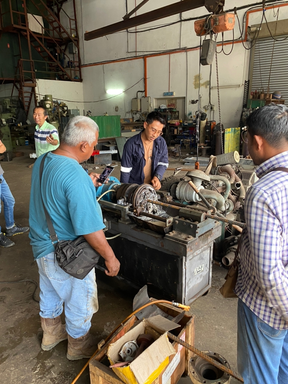 Testing team