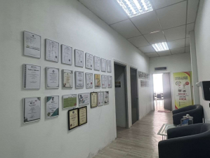 Office reception
